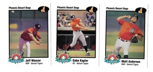 1998 Arizona Fall League Prospects - DETROIT TIGERS Team Set - Picture 1 of 1