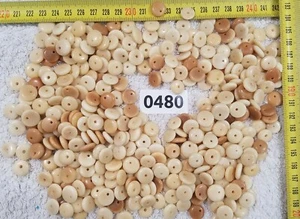 200 GRAMM  Taqua Nuss 350 Scheiben zum Auffädeln Handarbeit  sehr selten - Bild 1 von 3