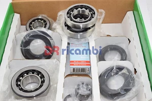 KIT CUSCINETTI RIPARAZIONE DIFFERENZIALE TRASMISSIONE BMW S.1 3 - INA 462014810 - Imagen 1 de 4