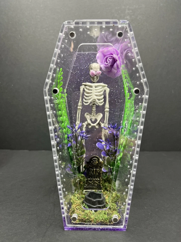 Gabinete de aranha saltadora caixão esqueleto roxo  - Imagem 1 de 1