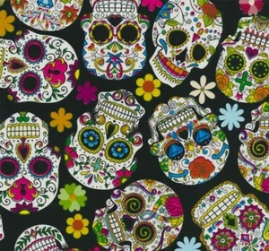 Lámina de presión de transferencia de agua set de inicio WTD Hydrograpics calavera 2 m + activador  - Imagen 1 de 7