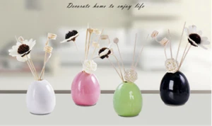 Essential Oil Reed Diffuser Set With Egg Ceramic Bottle,Fragrant,Home Decoration - Picture 1 of 11