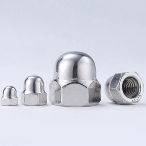 304/316/201 Stainless Steel Cap Nuts M3 M4 M15 M6 M8~M24 Metric Dome Nuts - Picture 1 of 6