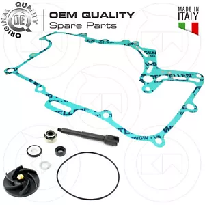 KIT REVISIONE POMPA ACQUA OEM+ GUARNIZIONE ORIGINALE PIAGGIO BEVERLY 500 2002-06 - Foto 1 di 3