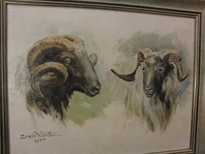 Gemälde Studie Heidschnucken Schafe Widder Erwin Wohlfeil 1977 Hermannsburg - Bild 1 von 6