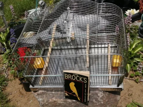Vintage England Bird metal cage cage à oiseaux antique Cover