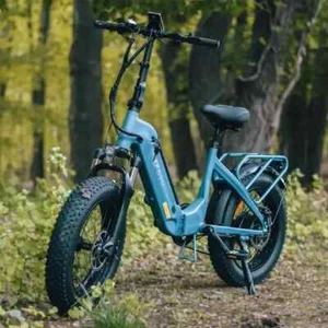 DYU FF500 20" Folding Electric Bike 250W 48V 14Ah E-Bike Commuter Mountain Bike - Picture 1 of 11