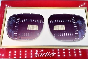 Gafas de sol Cartier big c corte diamante bocina de madera ct0287o CT0061o ct0147s - Imagen 1 de 7