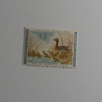 STAMPMART : USA 1962 $3 MIGRATORY BIRD HUNTING MAIIARD BROOD DUCK MNH STAMP - Image 1 of 2