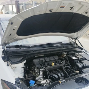 2x Bolt-in Bonnet Hood Quick Lift Gas Strut Lifter for Hyundai Elantra 2017-2020 - Bild 1 von 10