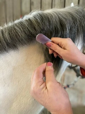 Smart Grooming Pro Thinning/Levelling Trimmer - Horse Mane Tail Tidy - image 1 of 2