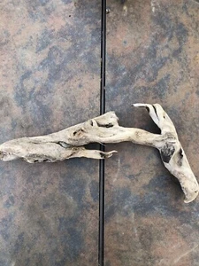 Natural Driftwood for Plants Terrarium Taxidermy Art Projects - Picture 1 of 8