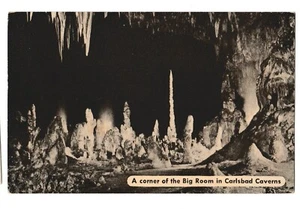 Corner of BIG ROOM In CARLSBAD CAVERNS National Park New Mexico NM Postcard - Picture 1 of 2