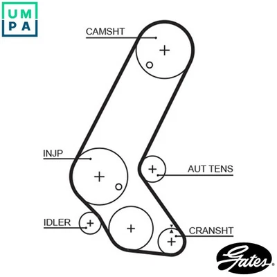 TIMING BELT 5595XS FOR VAUXHALL ASTRAVAN/Mk/IV OPEL HONDA CIVIC/VII 1.7L 4cyl - Image 1 of 4