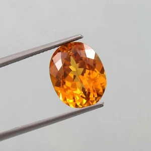7 Natürliche Ceylon Fanta Orange Saphir Ovalschliff Lose Edelsteine 12,7X11mm - Bild 1 von 4