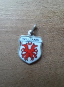 Williams Wappen / Familienwappen versilberte Emaille Anhänger - Bild 1 von 4