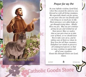 Saint St. Francis of Assisi - Prayer for my Pet - Paperstock Holy Card - Picture 1 of 3
