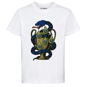 Maglietta sfotto' INTERTRISTI finale Champions LEAGUE 5 pere PSG t-shirt maglia - Imagen 1 de 7