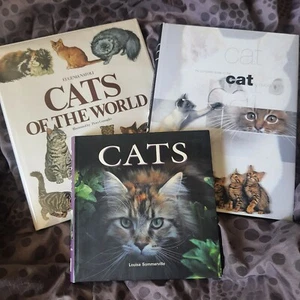 Lot Of 3 Cat Books CATS OF THE WORLD By Eugenia Natoli Sommerville Bessant - Bild 1 von 19
