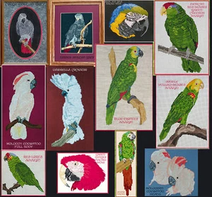 PARROT COUNTED CROSS-STITCH PATTERNS - Picture 1 of 13