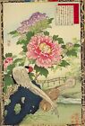 Peony silver phesants Vintage Kono Bairei Japanese poster Botanical Print Art