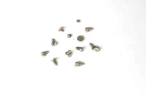 Felsa 4010 (21 jewels) Swiss movement screws - 131200 - Imagen 1 de 1
