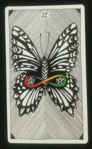 The Wild Unknown Tarot Card 2 Of Pentacles 4.75" X 2.75" - Picture 1 of 2