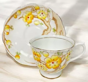 Royal Albert Tea Coffee Cup and Saucer Yellow Flowers & Fruits Spring Time Bloom - Picture 1 of 21