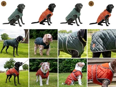Quilted Dog Coat Ancol Heritage Quilted Dog Coat Fleece Reflective Waterproof - Image 1 of 4