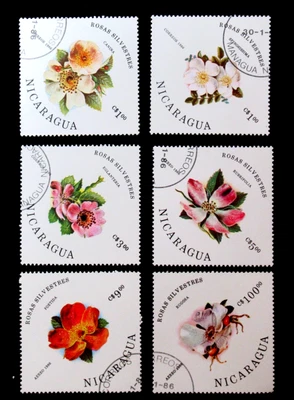 Estampillas de Nicaragua Sc 1494-99 Rosas Hermosas Flores 1986 Juego de 6 Usadas Foto 1 de 2
