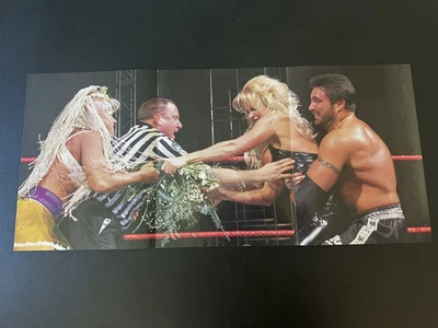 Póster Revista Luna Sable WWF RAW De Colección WWE Sexy Diva 24" x 10.5" Triple Foto 1 de 4