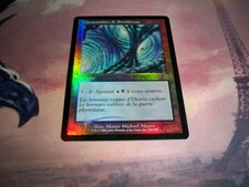 Mtg-Catacombs of sombreau/darkwater catacombs foil old frame vf magic card
