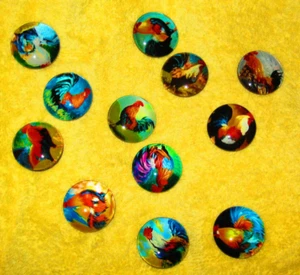 12 Stück Magnete Hahn Motiv Neu - Bild 1 von 1