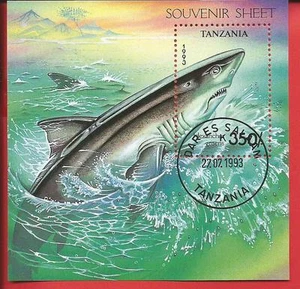 Tiburón gris hexanchus griseus pez tiburón bloque 225 Tanzania - Imagen 1 de 1