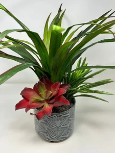 20" Lg Imitación Verde-Rojo YUCCA Seda Planta, Rojo Kalanchoe, Dracaena en Cerámica Azul- - Imagen 1 de 10