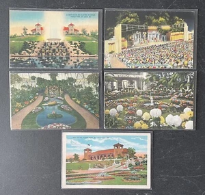 St. Louis MISSOURI vintage postcard lot of 5 FOREST PARK - Picture 1 of 3