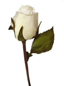 (01556-33999) ARTIFICIAL FLOR INDIVIDUAL ROSA CAPULLO ROSA BLANCO - Imagen 1 de 2