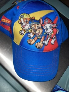 Nickelodeon Mädchen oder Jungen blau Paw Patrol - 3D POP Adj Baseball Cap Mütze - Bild 1 von 5