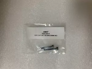 2ea AMAT 3690-00678 TAPA SCR M4X30MM. molibdeno - Imagen 1 de 1