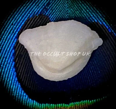 THE OCCULT SHOP UK Fish Pearl ~ Bezoar Stone Attract Wealth Luck Pendant Talisman Wicca Pagan Charm