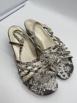 Zapatos David Tate para mujer 11 WW con tiras de leopardo con tirantes Foto 1 de 4