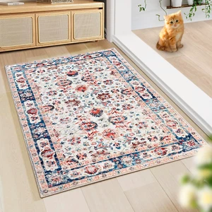 Door Mat Entry Rug Washable Mat Indoor Entrance 2X3 Boho Non-Slip,Laundry Room R - Picture 1 of 12