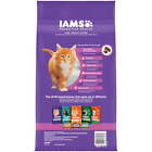 Bundle: IAMS PROACTIVE HEALTH Healthy Kitten Dry Cat Food with Chicken, 7 lb.Bag
