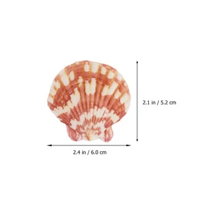 Sea Shells for Crafts Marine Aquarium Ornaments DIY Photo Frame Materials - Picture 1 of 12