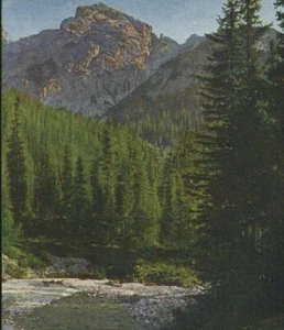 Italy view near Ospitale di Cadore Old Stereoview Chromoplast Bild 1910's - Picture 1 of 3