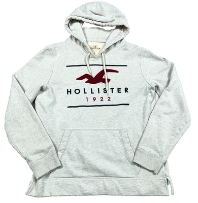 Sudadera con capucha Hollister para mujer mediana. Sudadera Suéter Pullover Gris Spellout Y2K Foto 1 de 4