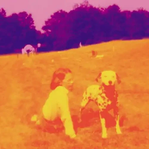 The Eels - Blinking Lights & Other - Bild 1 von 1