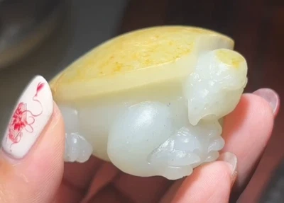 CERTIFICADO 87,4 g 100 % natural río hotan jade tallado a mano dragón tortuga colgante Foto 1 de 4