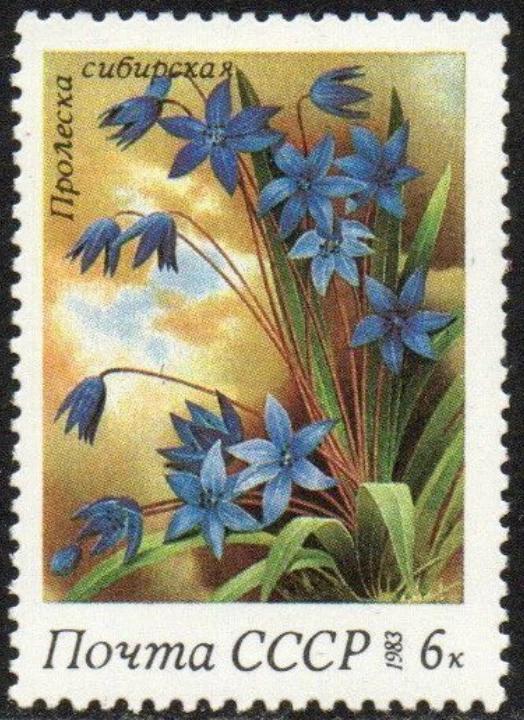 Russia #Mi5279 MNH 1983 Spring Flowers Siberian Squill [5149] - Image 1 of 1
