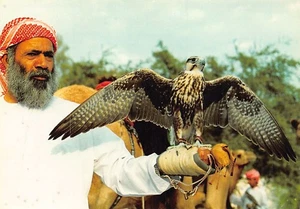 Vereinigte Arabische Emirate - Der Falkner - POSTKARTENGRÖSSE 15 cm x 10 cm (4" x 6") - Bild 1 von 2